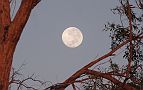 11-Moonset at Lambandan